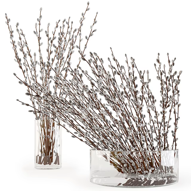 Transparent Glass Vases With Fresh Willow Branches And White Fluffy Catkins 3d model 