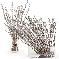 Transparent Glass Vases With Fresh Willow Branches And White Fluffy Catkins
