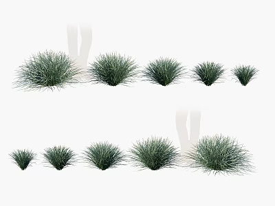 Clumping Green Grass Plants In Various Sizes For Garden Decoration And Landscaping 3d model