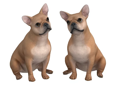 Two Adorable French Bulldogs Sitting With Light Brown And White Coats Isolated On White Background 3d model