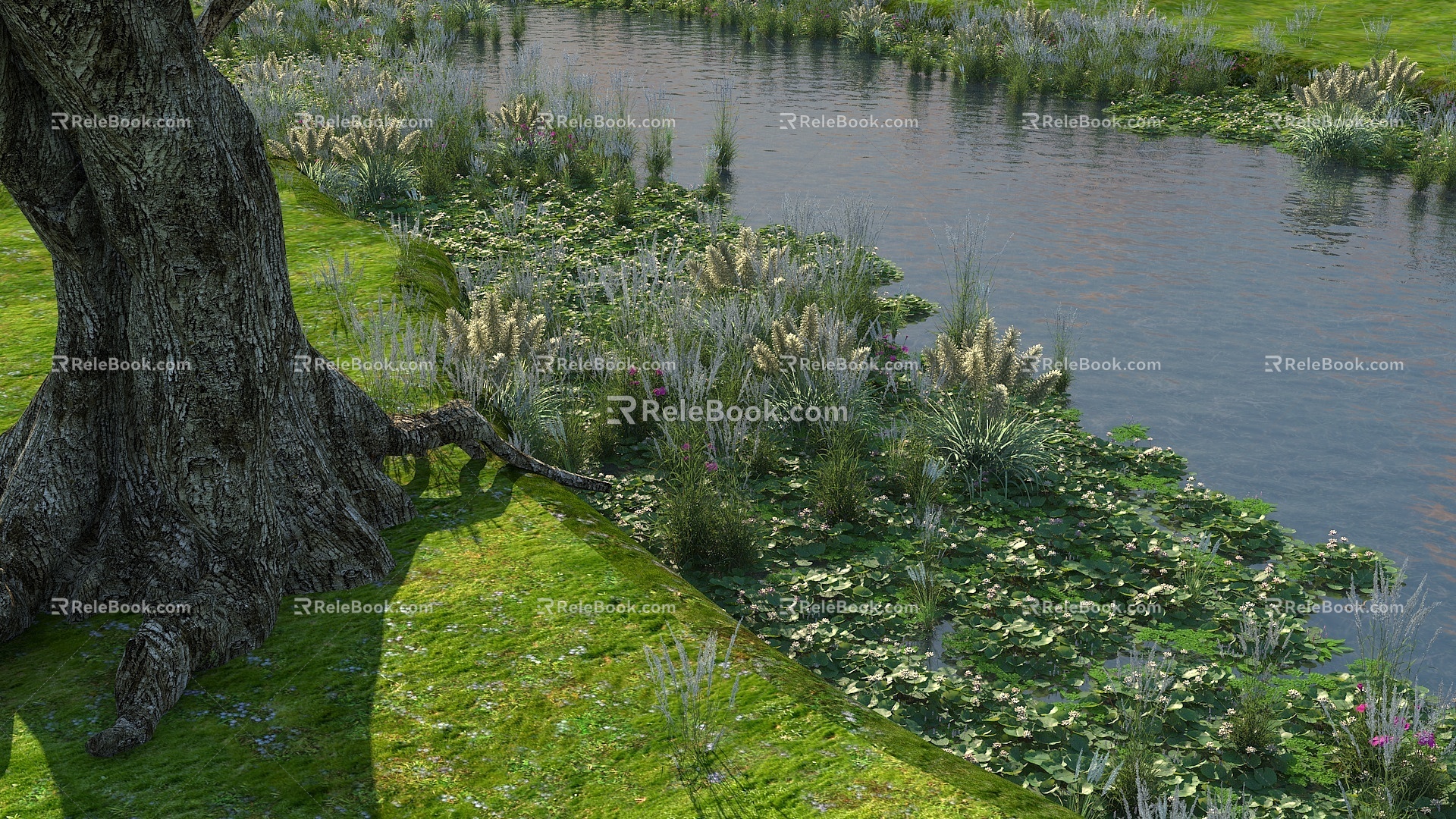 shrub water grass lotus leaf river water 3d model