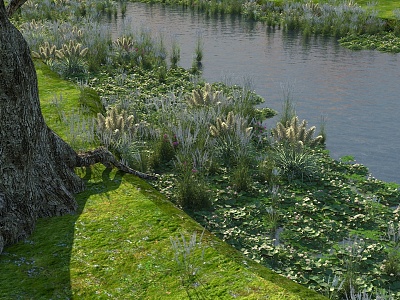 shrub water grass lotus leaf river water 3d model