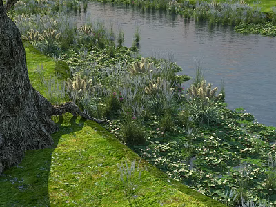 Lush Green Shrubs Growing Along Riverside With Fresh Grass And Calm Water 3d model