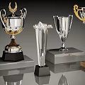Modern Trophies And Medals With Silver Gold Crystal Designs On Black Gray Marble Bases