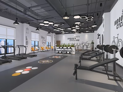 Modern Fitness Gym With Treadmills Weight Benches Dumbbells Colorful Floor Mats And Bicycle Murals 3d model