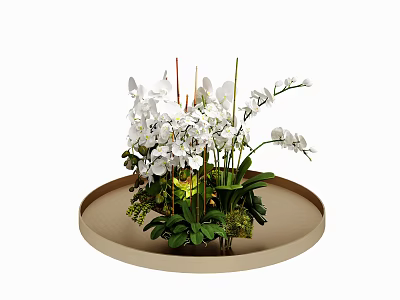 Elegant Bonsai Potted Plant With White Orchids Green Leaves And Round Tray 3d model