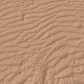 Desert Landscape With Vast Sandy Terrain And Natural Wave Ripples