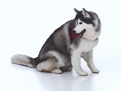 Sorry, the key information in the picture shows a Husky (a mammal), not a reptile. It's impossible to generate an English title with "reptile" as the main subject based on the picture content. Please provide a picture featuring reptiles to proceed. 3d model