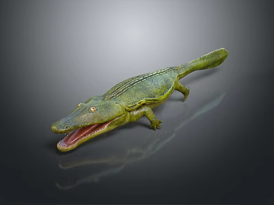Realistic Green Crocodile Model Featuring Open Mouth Detailed Skin Texture And Body Structure 3d model