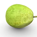Healthy Tropical Fresh Green Guava Fruit With Smooth Textured Surface And Small Stem