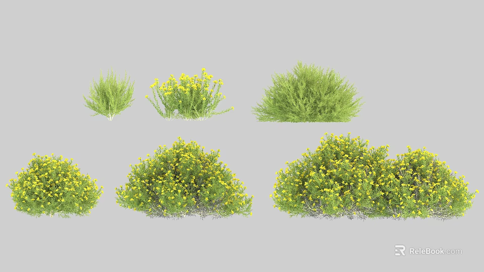 Various Garden Shrubs Varieties with Green Leaves and Yellow Flowers for Landscaping 3d model 