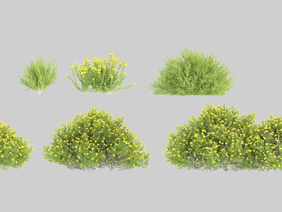 Various Garden Shrubs Varieties with Green Leaves and Yellow Flowers for Landscaping 3d model