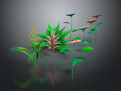 Various Colorful Plants With Diverse Shaped Leaves And Flowers Against Dark Background With Reflections 3d model