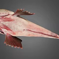 Whole Fresh Fish With Pinkish Brown Body And Fins On Gray Background