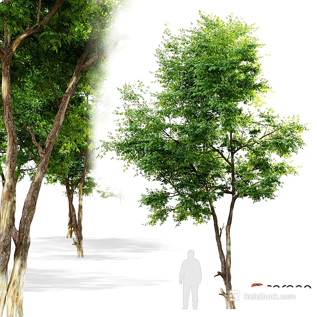 Lush Green Garden Ornaments With Trees Dense Foliage And Natural Trunk 3d model 