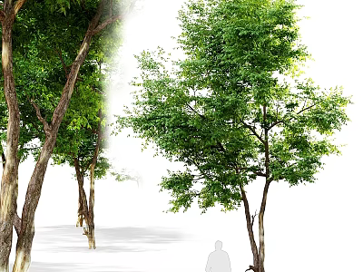 Lush Green Garden Ornaments With Trees Dense Foliage And Natural Trunk 3d model