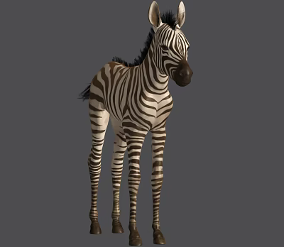 Modern Zebra 3d model Modern Zebra 3d model