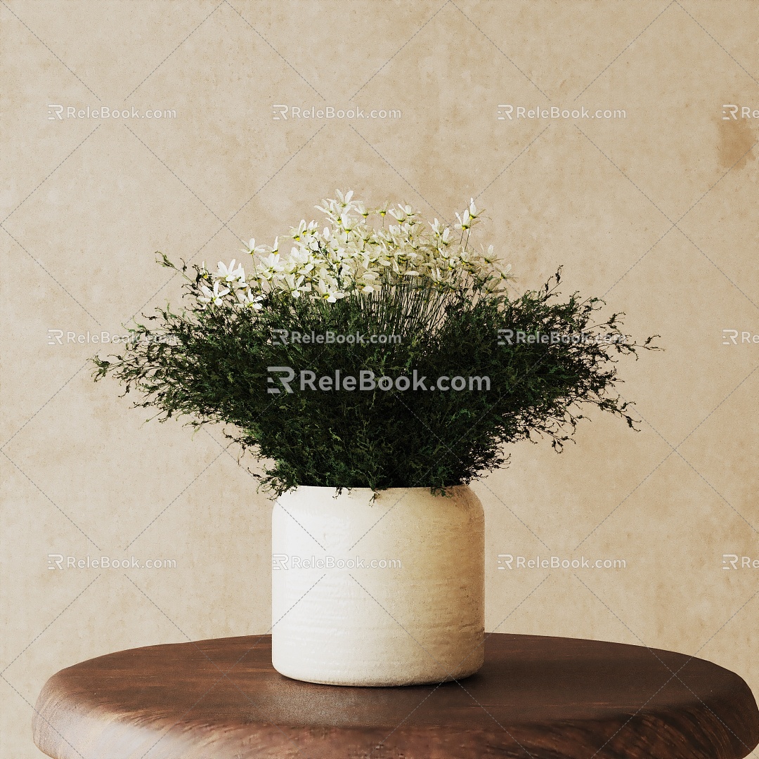 Modern Potted Plant 3d model