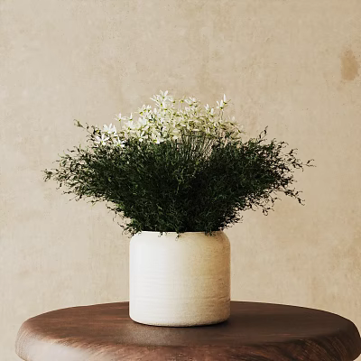 Bonsai Plant with Green Leaves and White Flowers in White Cylindrical Pot on Brown Table 3d model