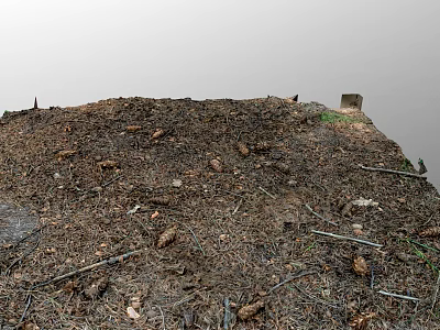 Outdoor Abandoned Dirt Pile With Scattered Trash Branches Stones And Debris 3d model