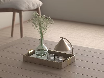 Elegant Decorative Ornament Set With Metal Tray Glass Vase Plants Clear Cubes On Wooden Table 3d model