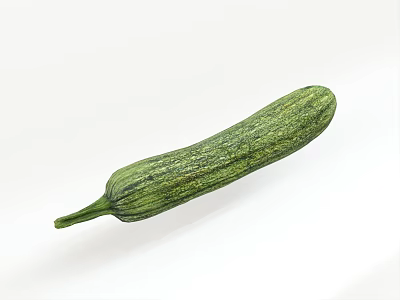 Green Zucchini Vegetable with Fresh Striped Skin on White Background 3d model