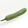 Green Zucchini Vegetable with Fresh Striped Skin on White Background