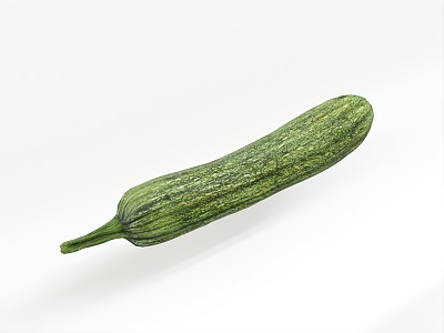 Modern Zucchini 3d model