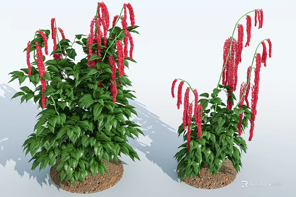 Beautiful Potted Plants With Red Hanging Flowers And Lush Green Leaves 3d model 
