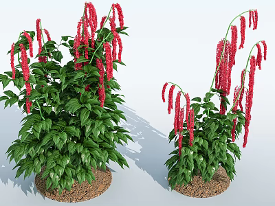 Beautiful Potted Plants With Red Hanging Flowers And Lush Green Leaves 3d model