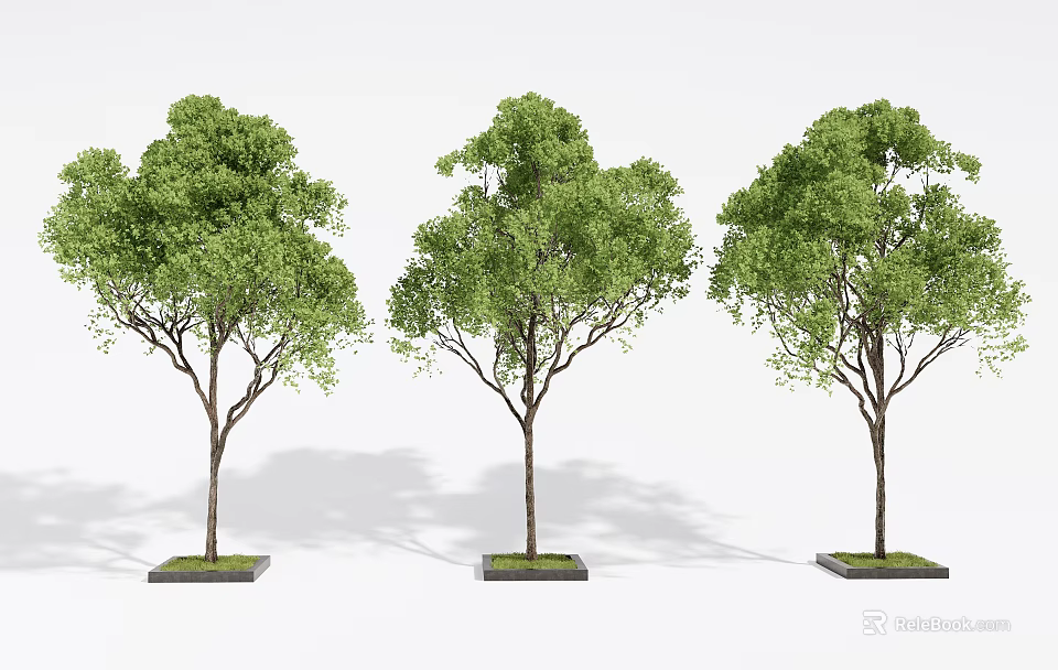 Tree Planters With Square Base Supporting Lush Green Trees In Landscape Design 3d model