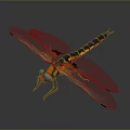 Colorful 3D Dragonfly Model With Transparent Textured Wings And Vibrant Body