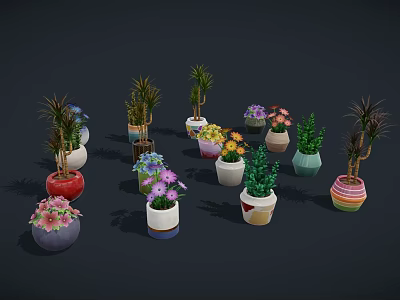 Various Potted Plants In Colorful Different Shaped Pots With Flowering And Green Leaf Varieties 3d model