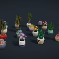 Various Potted Plants In Colorful Different Shaped Pots With Flowering And Green Leaf Varieties