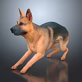 German Shepherd in Stretching Pose with Brown Black Coat on Gray Reflective Surface 3d model
