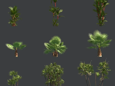 Trees of Various Types with Green Foliage and Brown Trunks 3d model