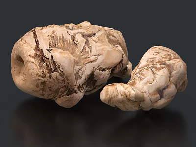 Wild Edible Mushrooms with Natural Brown White Texture and Irregular Shape 3d model