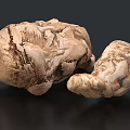 Wild Edible Mushrooms with Natural Brown White Texture and Irregular Shape