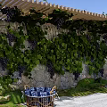 Stone Scenic Wall Decorated With Green Vines Purple Grapes And Wooden Pergola