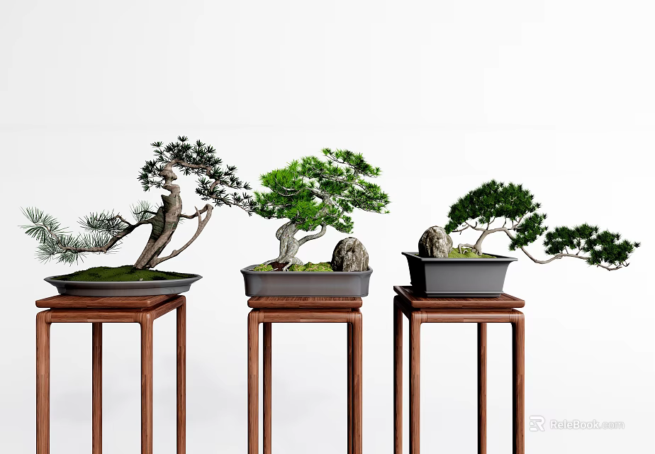 Bonsai Trees Arranged On Wooden Stands With Black Pots And Stone Decorations 3d model 