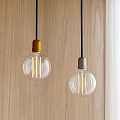 Modern Pendant Lights With Glass Bulbs Gold And Gray Bases On Wooden Wall