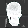 Detailed White Human Skull With Visible Eye Sockets And Teeth Structure 3d model