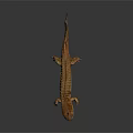 Realistic Brown Salamander With Detailed Skin Texture And Limbs On Dark Background