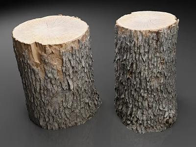 Natural Wooden Tree Stumps With Bark And Round Cross Sections On Gray Background 3d model