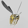 Intelligent Robotic Insect Machine With Metallic Wings Detailed Legs And Antennas