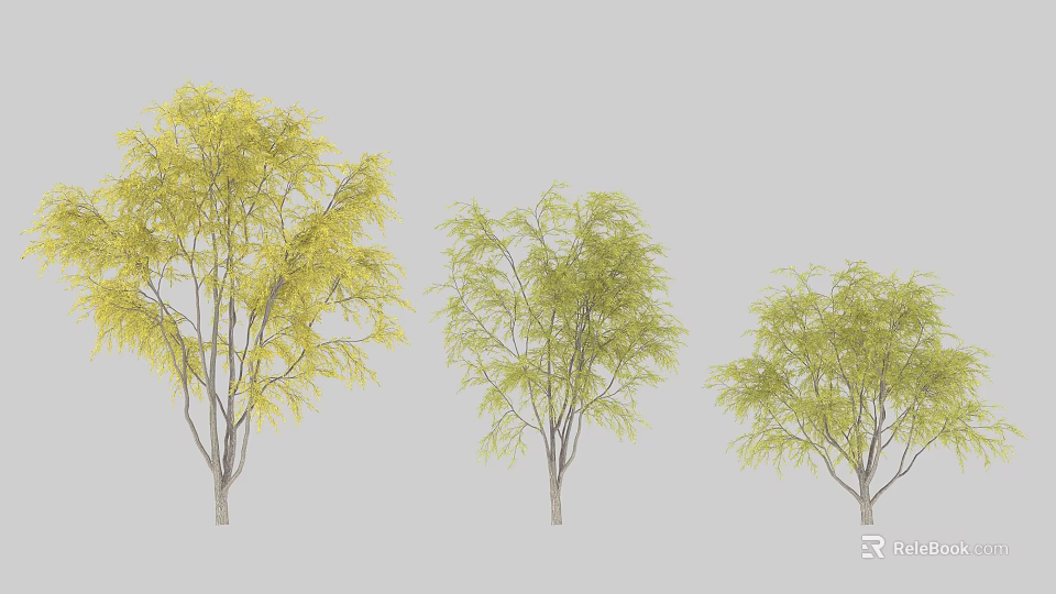 Three Trees With Yellow And Green Leaves And Slender Trunks In Garden 3d model 