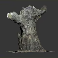 Decorative Plant With Natural Tree Stump Shape Green Moss Texture And Artistic Base