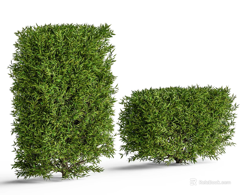 Well Trimmed Green Shrubs with Lush Foliage Tall and Short for Garden Landscaping 3d model 