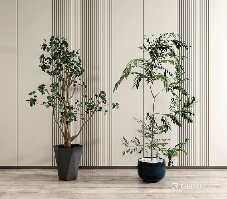 Elegant Indoor Potted Plants With Striped Wall And Wooden Floor Decor 3d model 