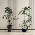 Elegant Indoor Potted Plants With Striped Wall And Wooden Floor Decor